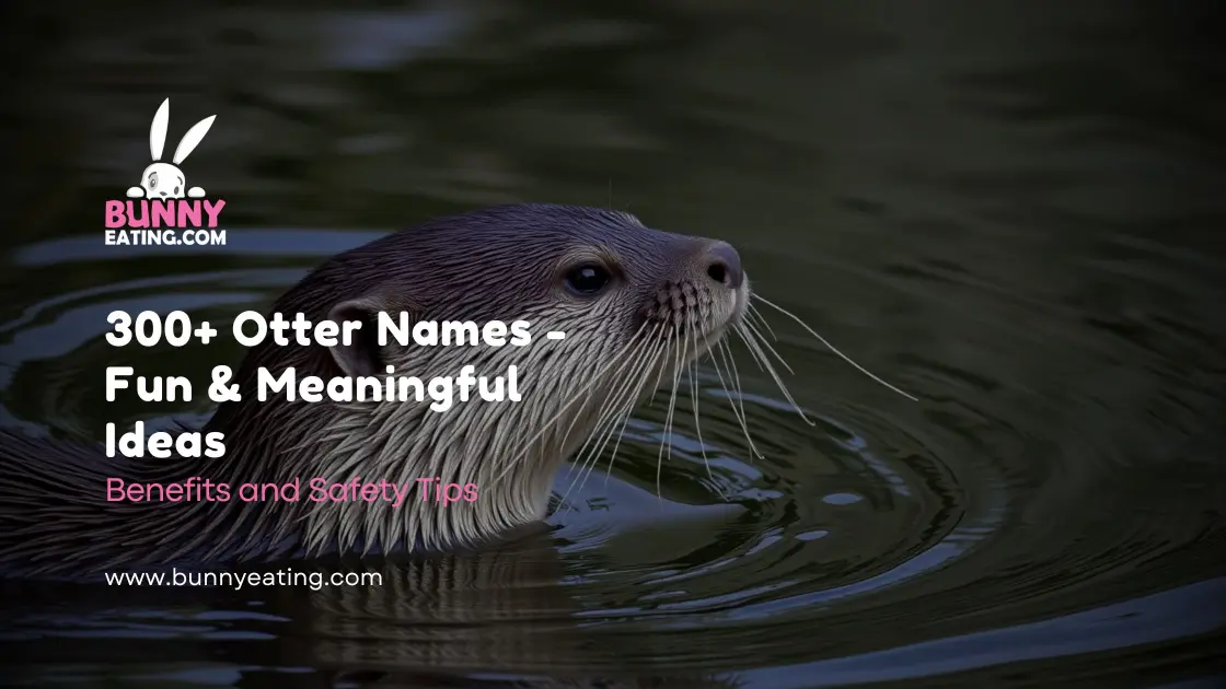 300+ Otter Names - Fun & Meaningful Ideas