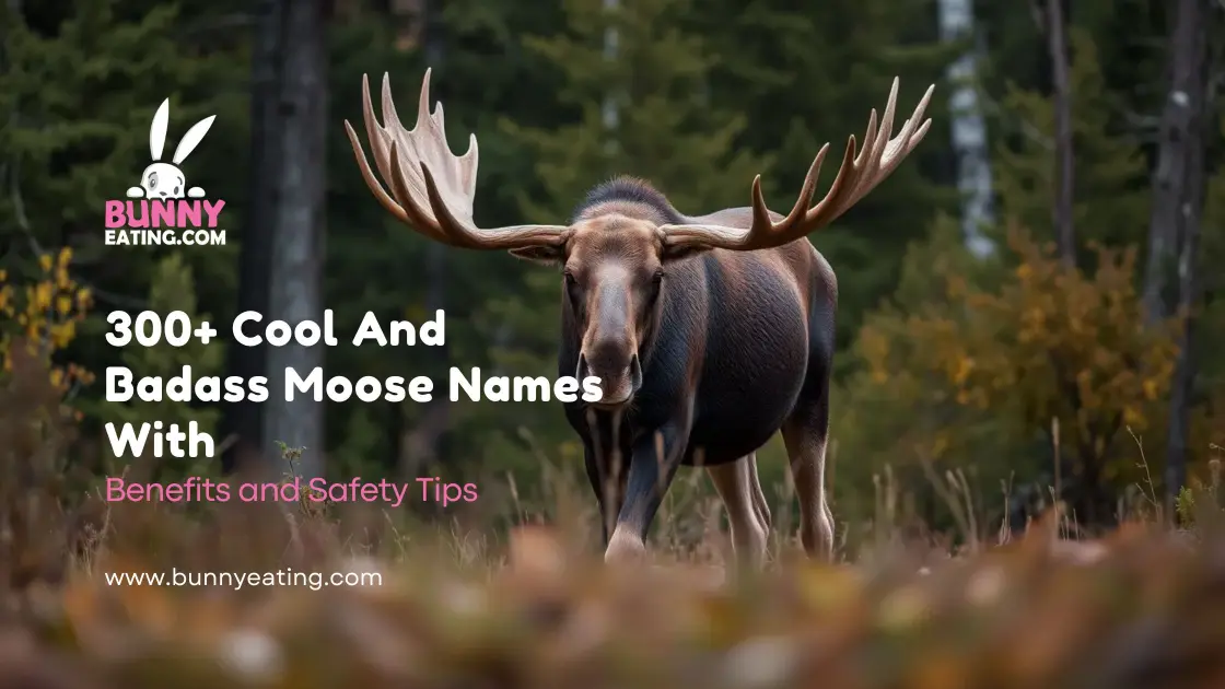 300+ Cool And Badass Moose Names With