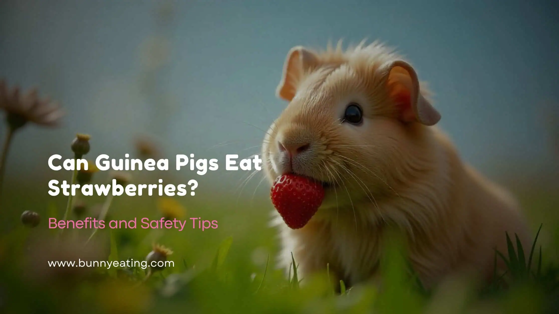 Can Guinea Pigs Eat Strawberries?