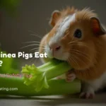 Can Guinea Pigs Eat Celery? (With Infographic)