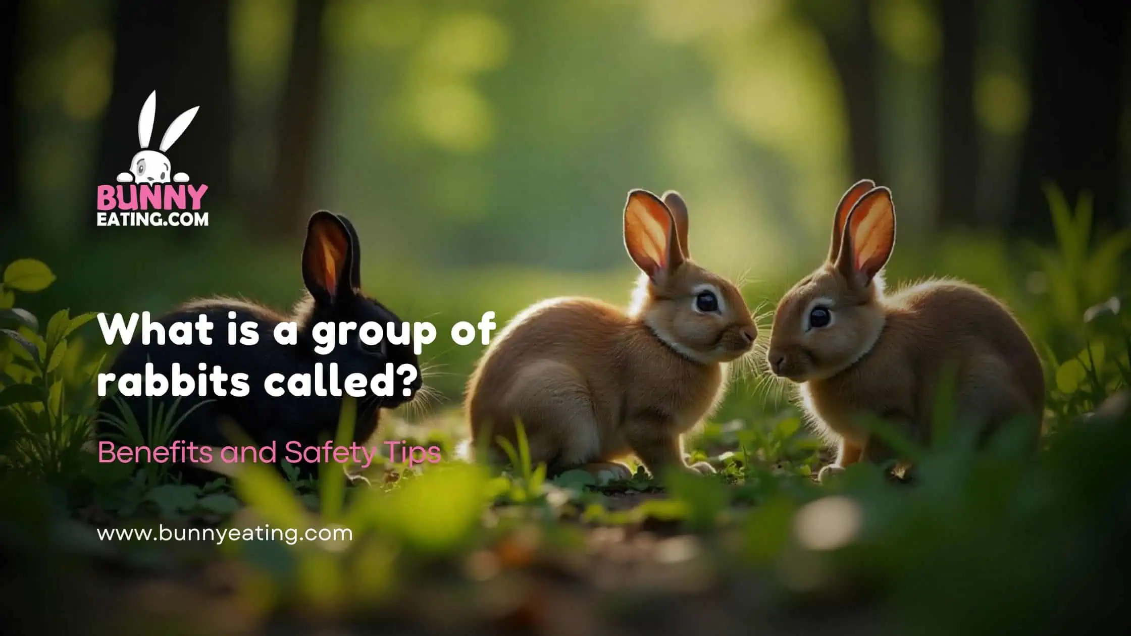 What is a group of rabbits called?